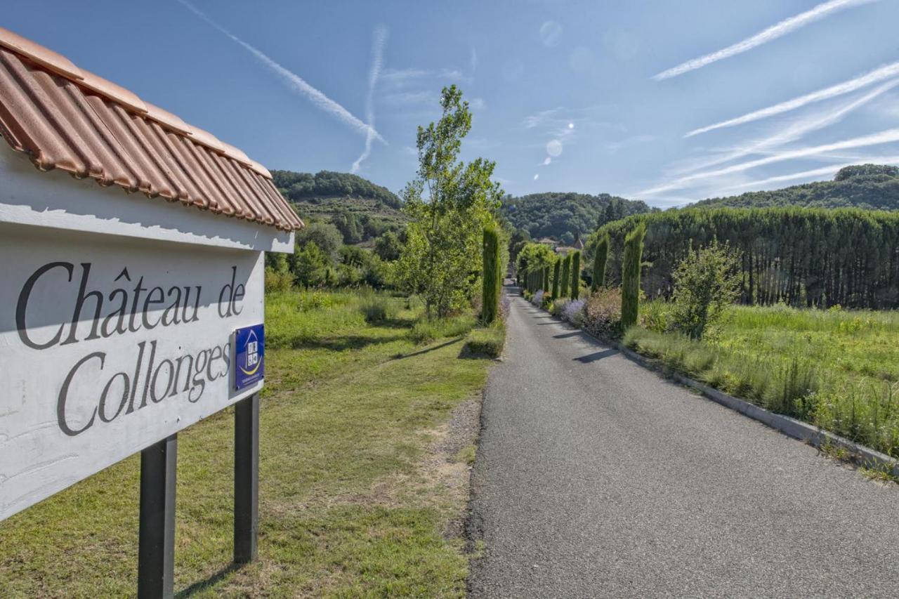Chateau De Collonges Saint-Donat-sur-l'Herbasse ภายนอก รูปภาพ